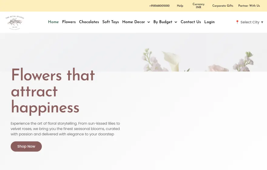 Live website screenshot — The Petal Studio boutique brand site built by RioCloud Solutions (with BrowLovers)